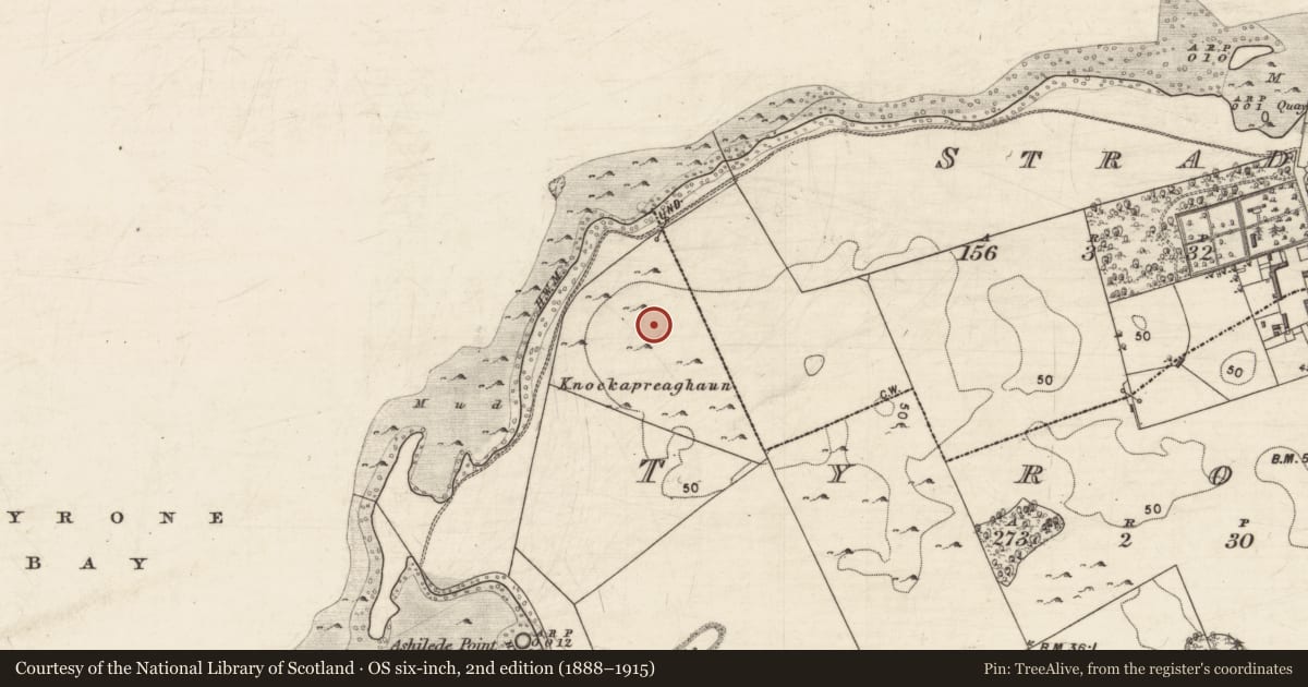 Ordnance Survey six-inch map, 2nd edition (1888–1915) covering the location of Ringfort - cashel, Tyrone, County Galway, with a pin at the register's coordinates