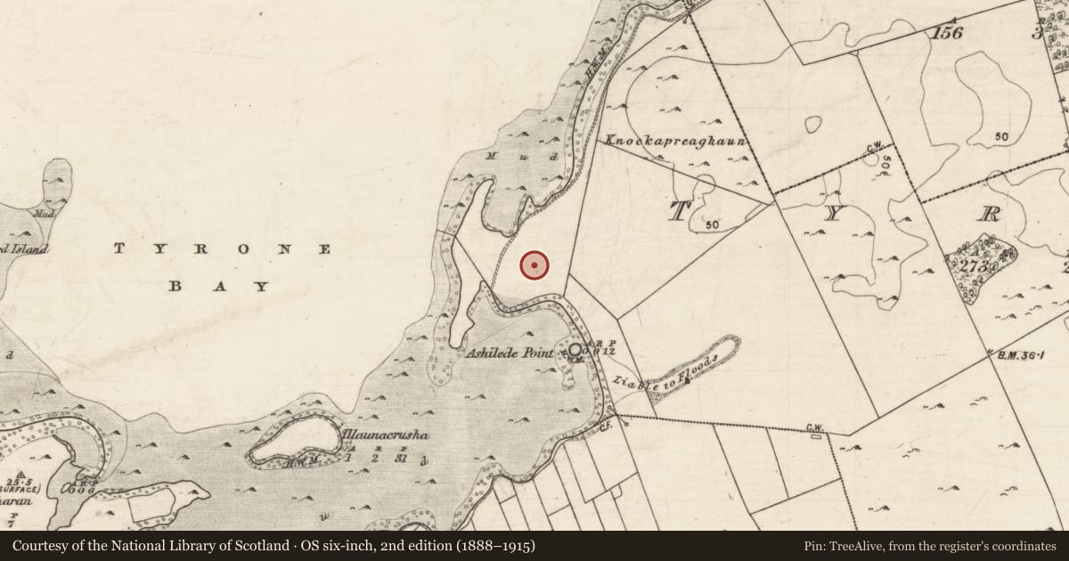 Ordnance Survey six-inch map, 2nd edition (1888–1915) covering the location of House - indeterminate date, Tyrone, County Galway, with a pin at the register's coordinates