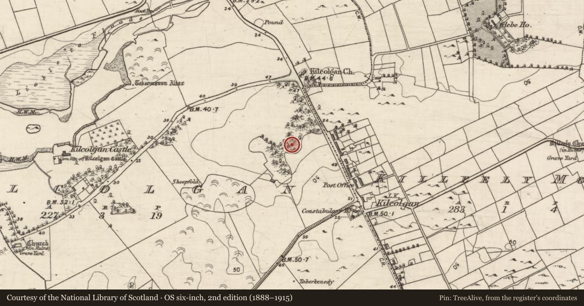 Ordnance Survey six-inch map, 2nd edition (1888–1915) covering the location of Ringfort - cashel, Kilcolgan, County Galway, with a pin at the register's coordinates