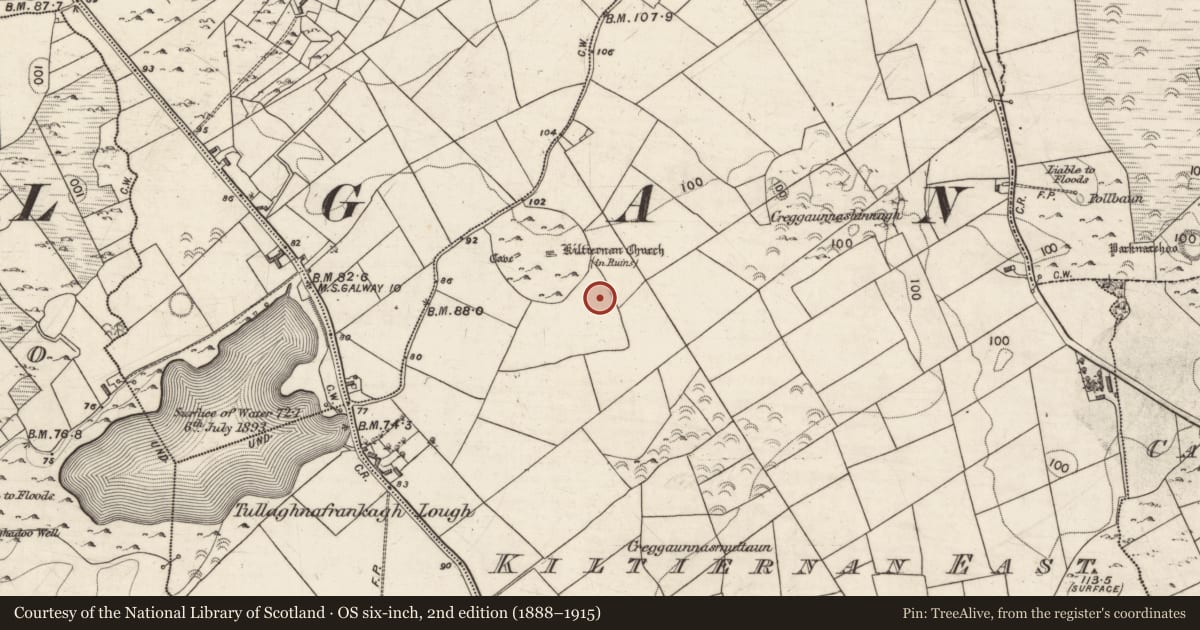 Ordnance Survey six-inch map, 2nd edition (1888–1915) covering the location of Cairn - unclassified, Kiltiernan East, County Galway, with a pin at the register's coordinates