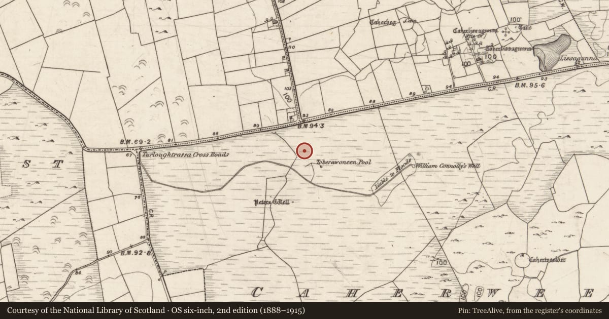Ordnance Survey six-inch map, 2nd edition (1888–1915) covering the location of Souterrain, Caherweelder, County Galway, with a pin at the register's coordinates