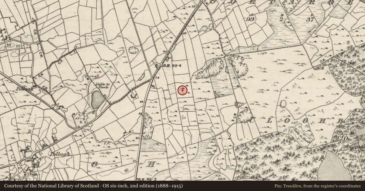 Ordnance Survey six-inch map, 2nd edition (1888–1915) covering the location of Enclosure, Pollagh, County Galway, with a pin at the register's coordinates