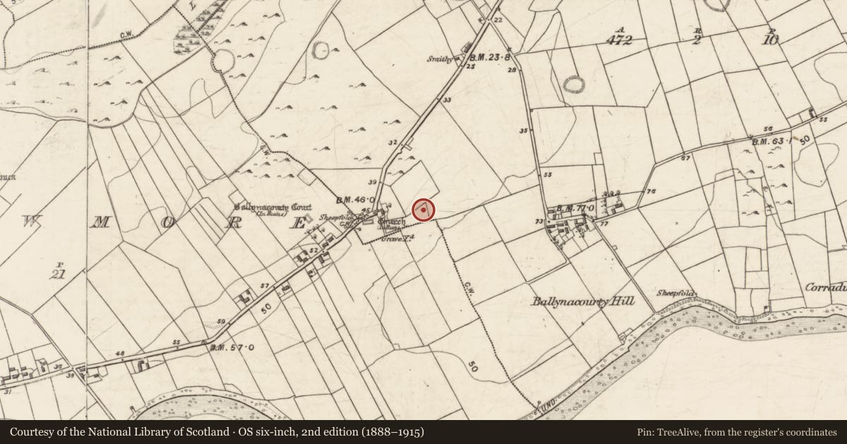 Ordnance Survey six-inch map, 2nd edition (1888–1915) covering the location of Ringfort - cashel, Ballynacourty, County Galway, with a pin at the register's coordinates