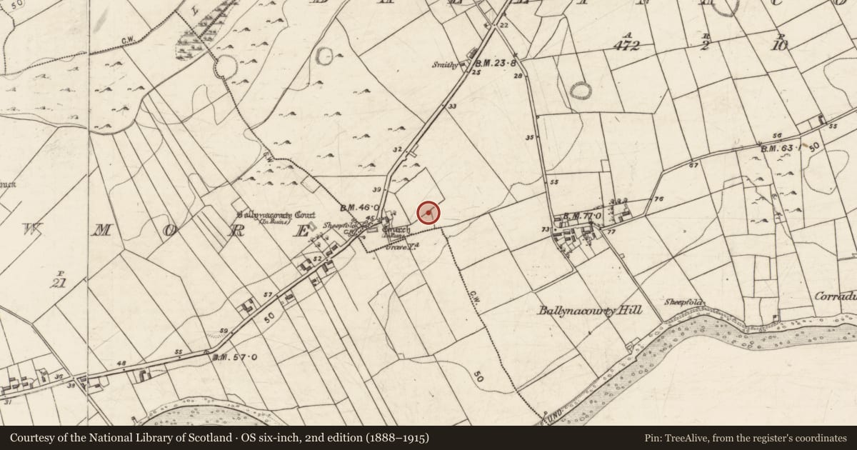Ordnance Survey six-inch map, 2nd edition (1888–1915) covering the location of Souterrain, Ballynacourty, County Galway, with a pin at the register's coordinates
