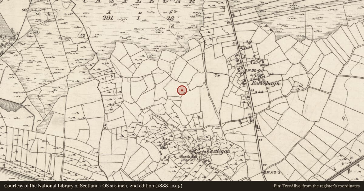 Ordnance Survey six-inch map, 2nd edition (1888–1915) covering the location of Enclosure, Castlegar, County Galway, with a pin at the register's coordinates