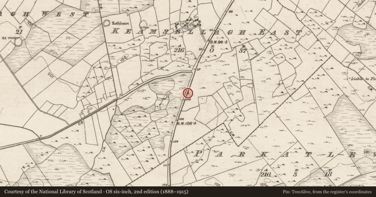 Ordnance Survey six-inch map, 2nd edition (1888–1915) covering the location of Milestone, Keamsellagh East, County Galway, with a pin at the register's coordinates