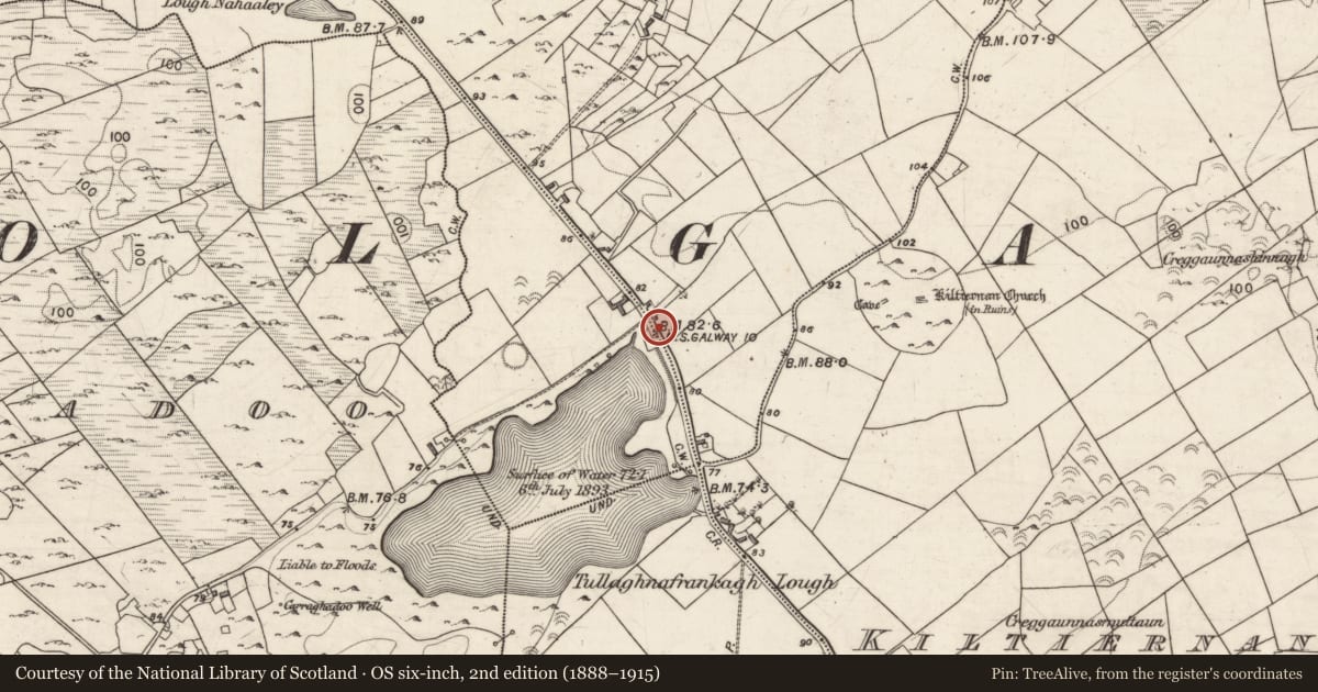 Ordnance Survey six-inch map, 2nd edition (1888–1915) covering the location of Milestone, Caherpeak East, County Galway, with a pin at the register's coordinates