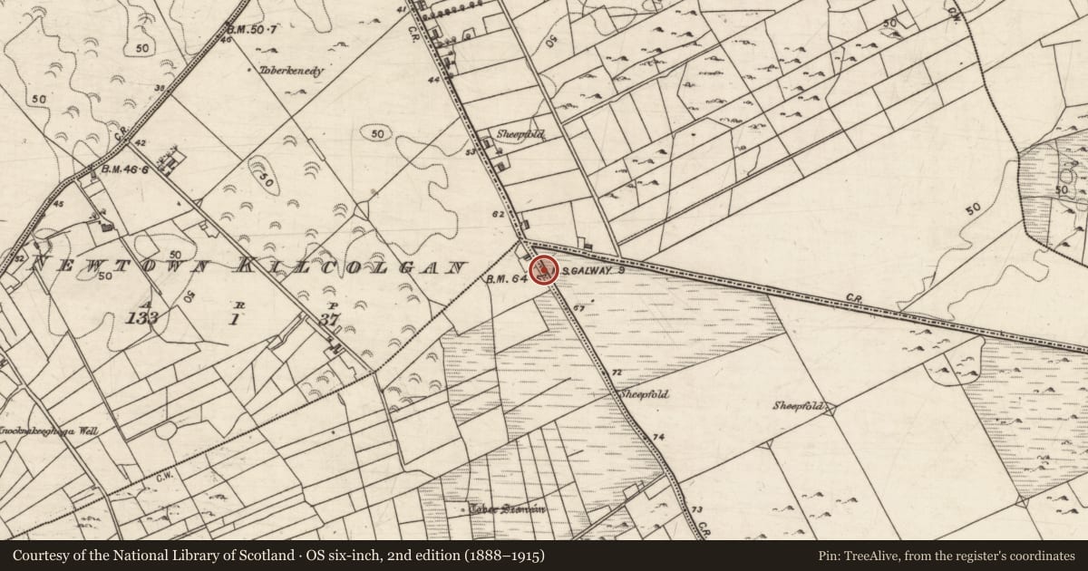 Ordnance Survey six-inch map, 2nd edition (1888–1915) covering the location of Milestone, Caherpeak East, County Galway, with a pin at the register's coordinates