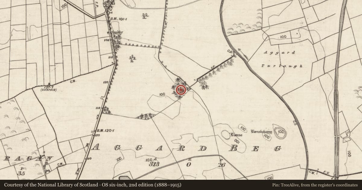 Ordnance Survey six-inch map, 2nd edition (1888–1915) covering the location of Ringfort - rath, Aggard Beg, County Galway, with a pin at the register's coordinates