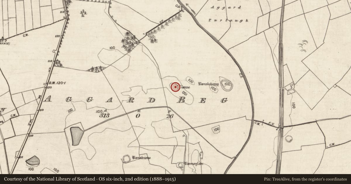 Ordnance Survey six-inch map, 2nd edition (1888–1915) covering the location of Ringfort - rath, Aggard Beg, County Galway, with a pin at the register's coordinates