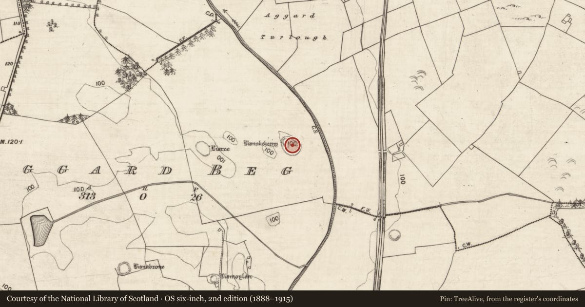 Ordnance Survey six-inch map, 2nd edition (1888–1915) covering the location of Ringfort - rath, Aggard Beg, County Galway, with a pin at the register's coordinates
