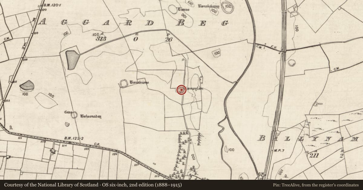 Ordnance Survey six-inch map, 2nd edition (1888–1915) covering the location of Ringfort - rath, Aggard Beg, County Galway, with a pin at the register's coordinates