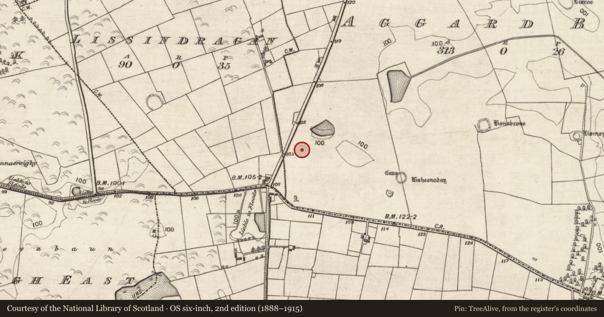 Ordnance Survey six-inch map, 2nd edition (1888–1915) covering the location of Quarry, Aggard Beg, County Galway, with a pin at the register's coordinates