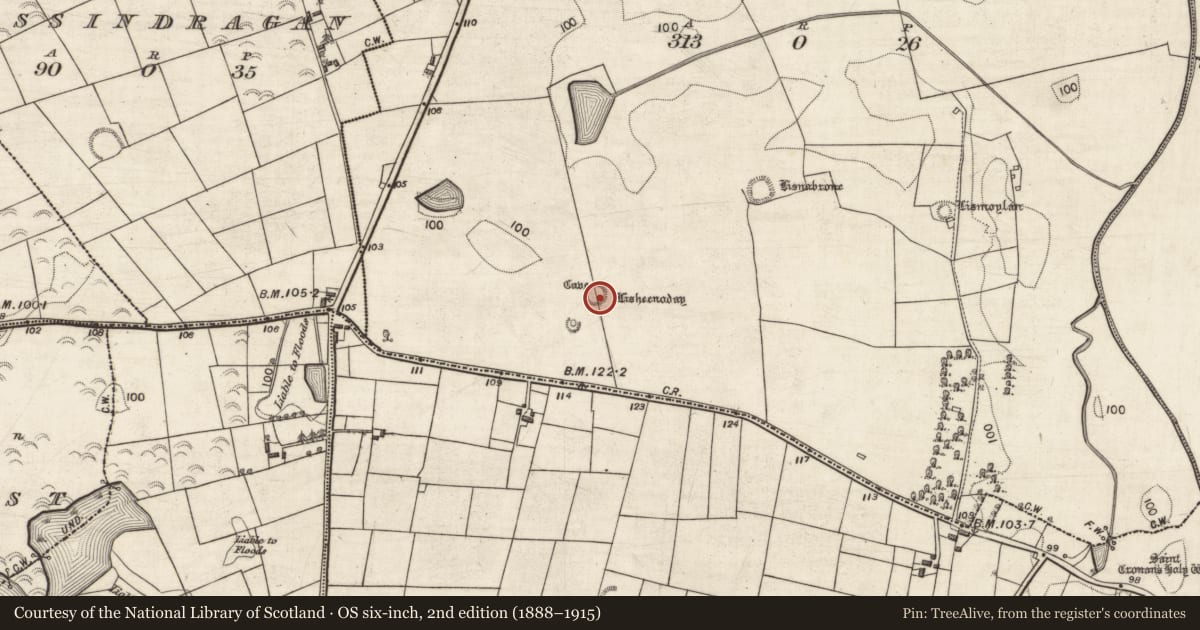 Ordnance Survey six-inch map, 2nd edition (1888–1915) covering the location of Ringfort - rath, Aggard Beg, County Galway, with a pin at the register's coordinates