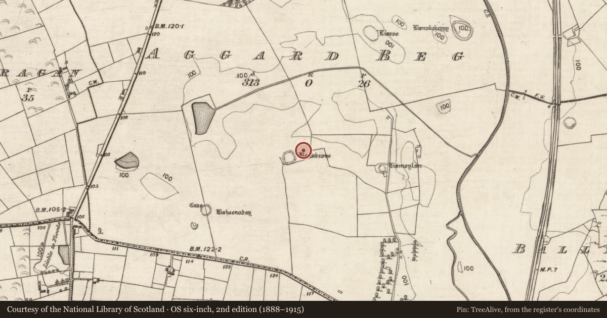 Ordnance Survey six-inch map, 2nd edition (1888–1915) covering the location of Mound, Aggard Beg, County Galway, with a pin at the register's coordinates