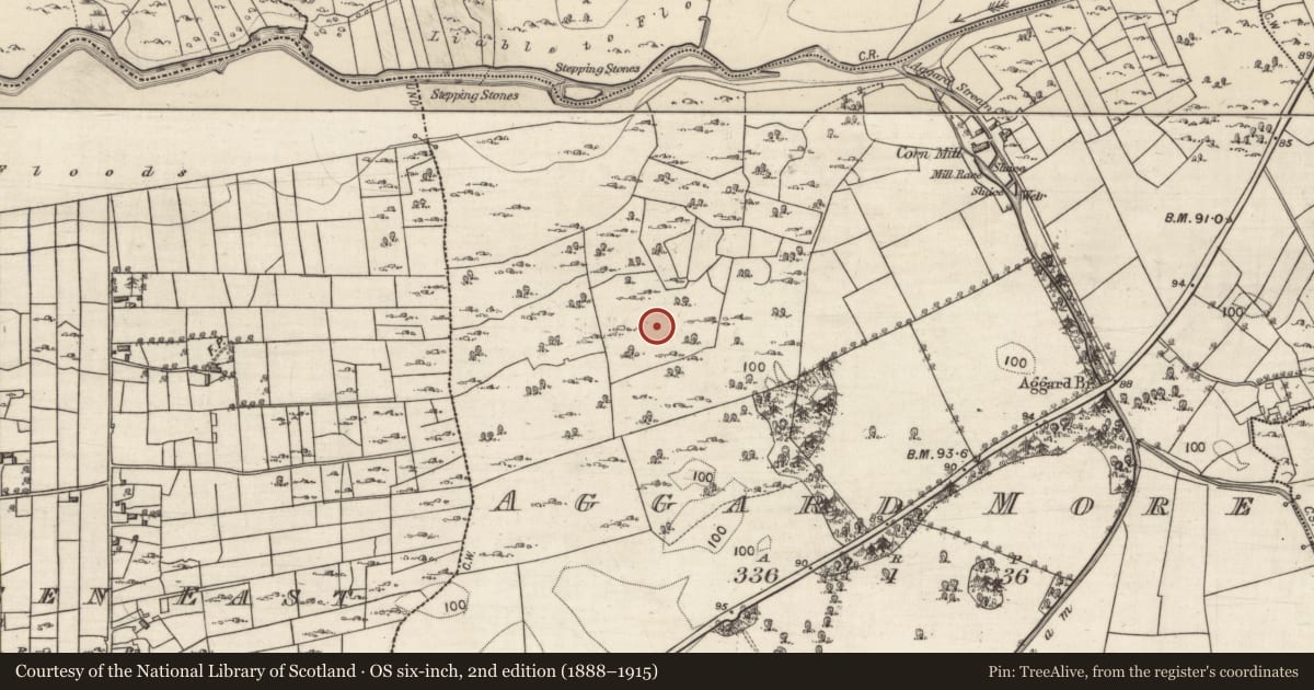 Ordnance Survey six-inch map, 2nd edition (1888–1915) covering the location of Ringfort - cashel, Aggard More, County Galway, with a pin at the register's coordinates