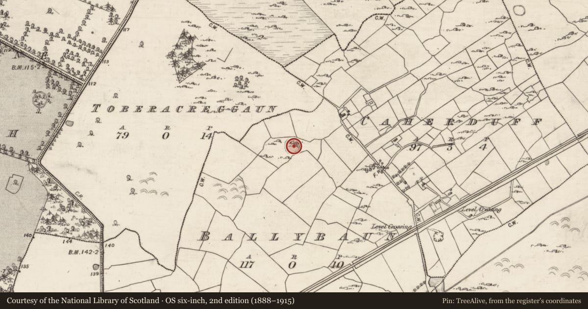 Ordnance Survey six-inch map, 2nd edition (1888–1915) covering the location of Ringfort - cashel, Ballybaun, County Galway, with a pin at the register's coordinates