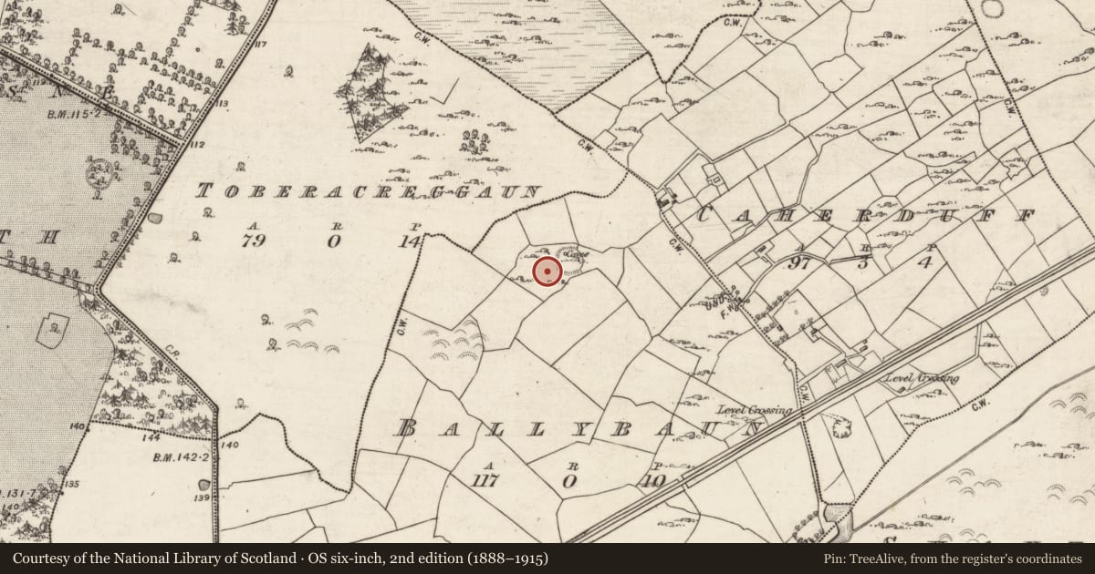 Ordnance Survey six-inch map, 2nd edition (1888–1915) covering the location of Field system, Ballybaun, County Galway, with a pin at the register's coordinates