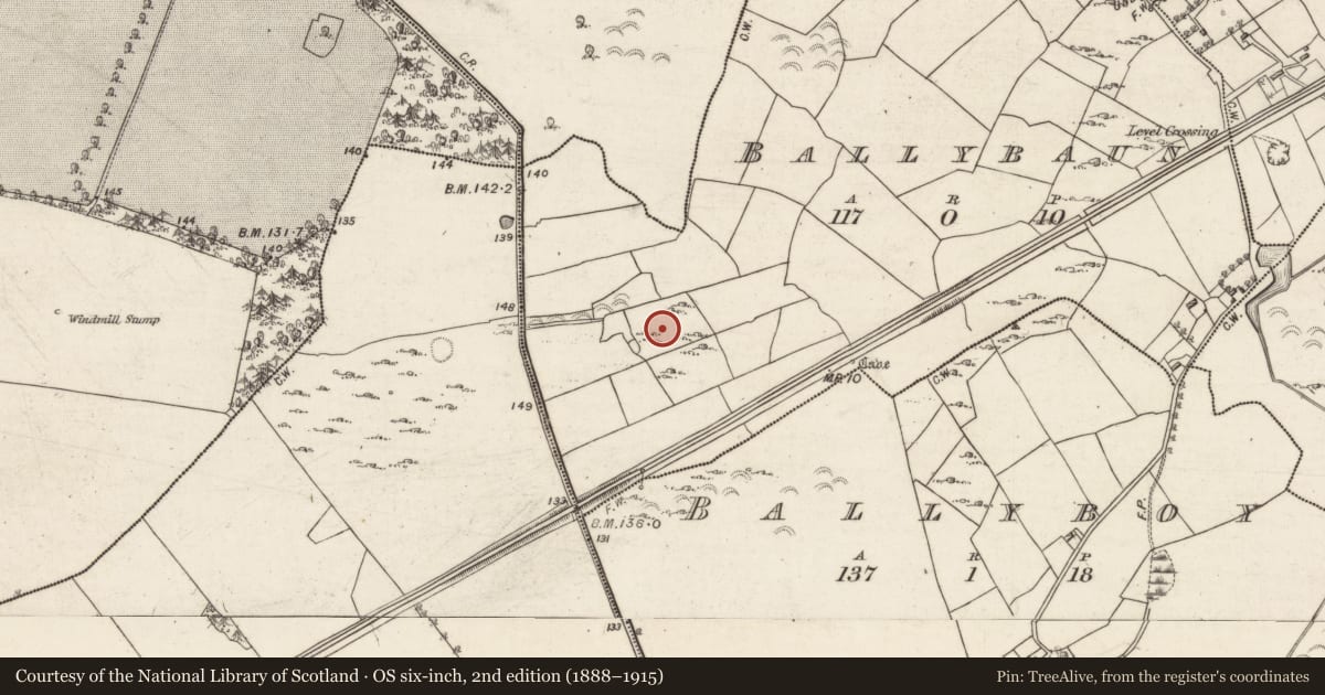 Ordnance Survey six-inch map, 2nd edition (1888–1915) covering the location of House - early medieval, Ballybaun, County Galway, with a pin at the register's coordinates