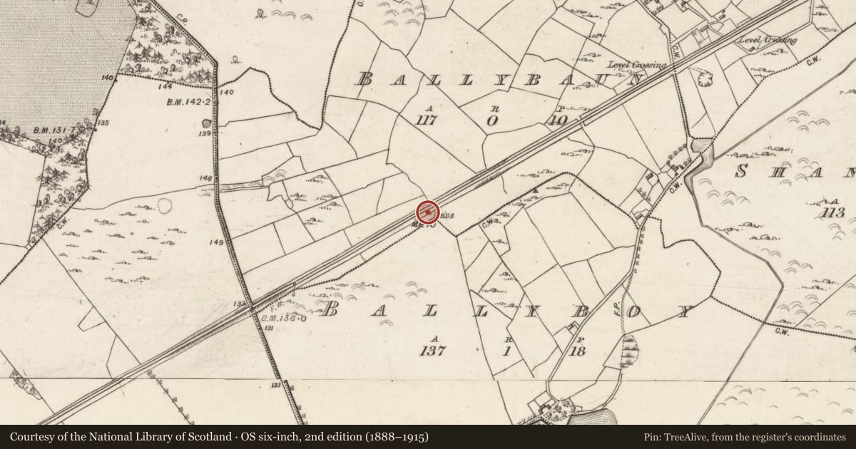 Ordnance Survey six-inch map, 2nd edition (1888–1915) covering the location of Ringfort - rath, Ballybaun, Ballyboy, County Galway, with a pin at the register's coordinates