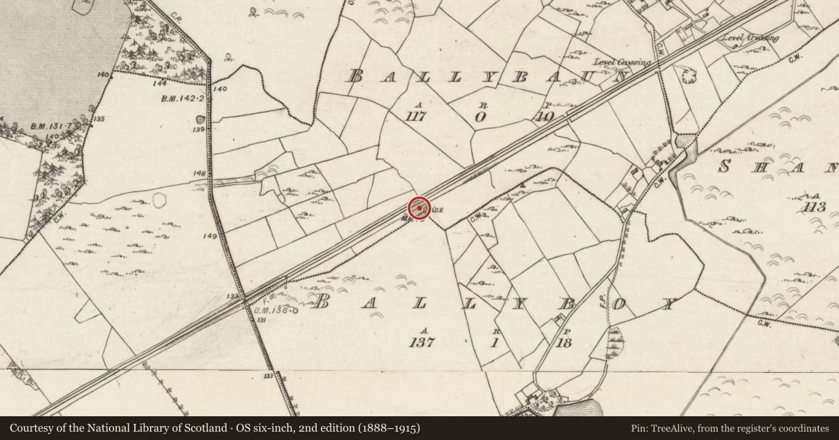 Ordnance Survey six-inch map, 2nd edition (1888–1915) covering the location of Souterrain, Ballybaun, Ballyboy, County Galway, with a pin at the register's coordinates