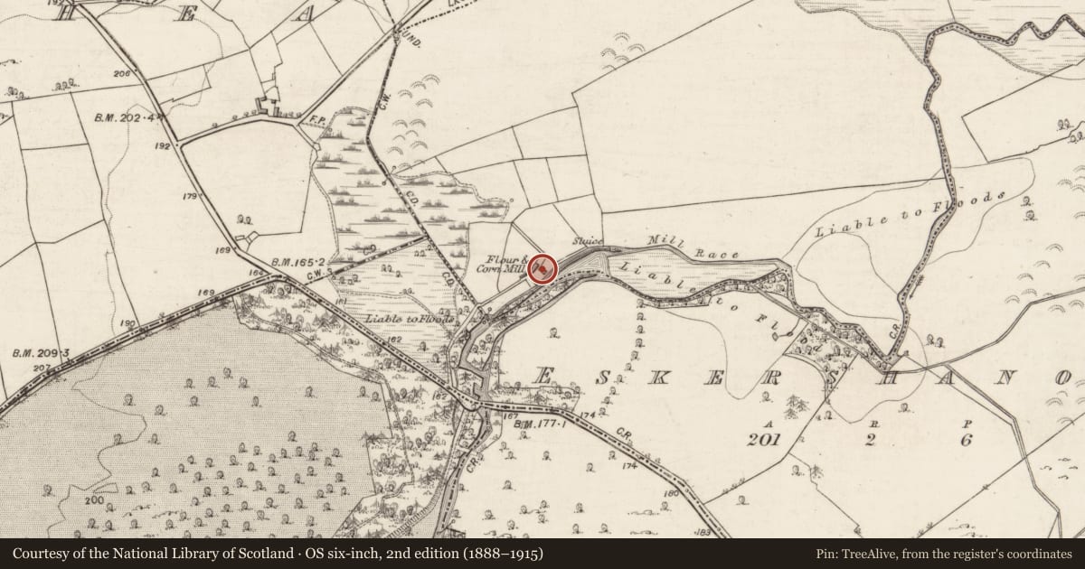 Ordnance Survey six-inch map, 2nd edition (1888–1915) covering the location of Mill - corn, Ballygarraun, County Galway, with a pin at the register's coordinates