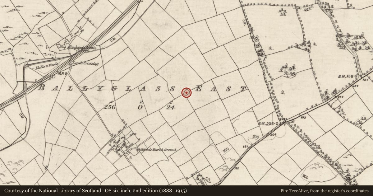 Ordnance Survey six-inch map, 2nd edition (1888–1915) covering the location of Ringfort - rath, Ballyglass East, County Galway, with a pin at the register's coordinates