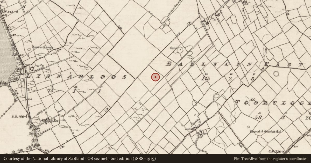 Ordnance Survey six-inch map, 2nd edition (1888–1915) covering the location of Quarry, Ballyglass East, County Galway, with a pin at the register's coordinates