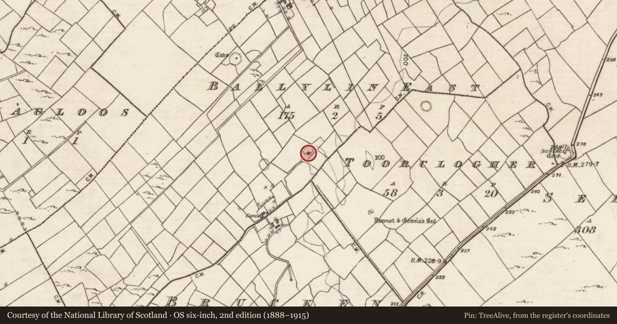 Ordnance Survey six-inch map, 2nd edition (1888–1915) covering the location of Ringfort - cashel, Ballylin East, County Galway, with a pin at the register's coordinates