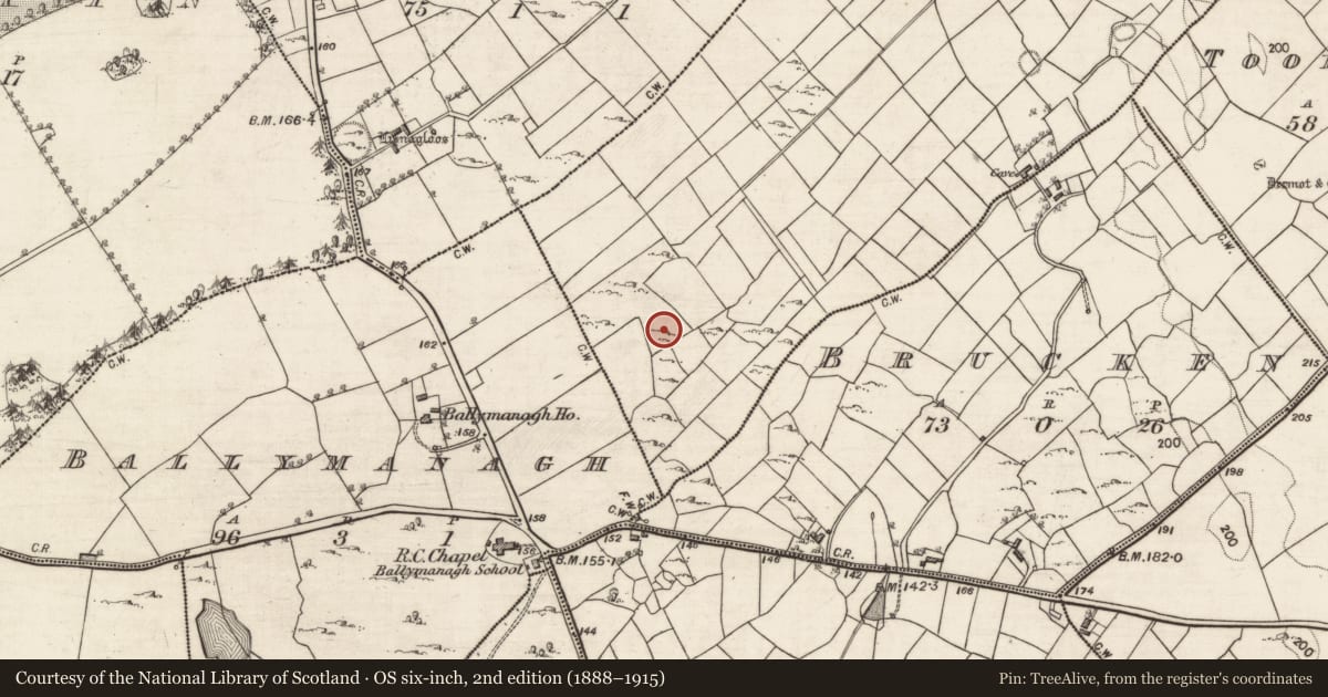 Ordnance Survey six-inch map, 2nd edition (1888–1915) covering the location of Standing stone, Ballylin East, County Galway, with a pin at the register's coordinates