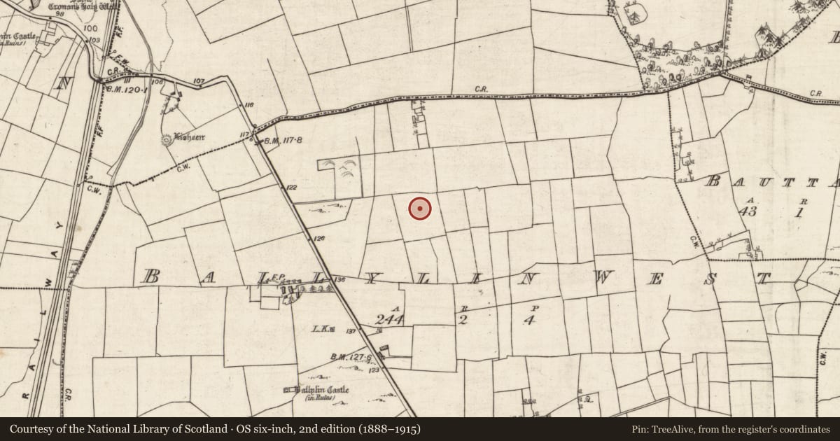 Ordnance Survey six-inch map, 2nd edition (1888–1915) covering the location of Standing stone, Ballylin West, County Galway, with a pin at the register's coordinates