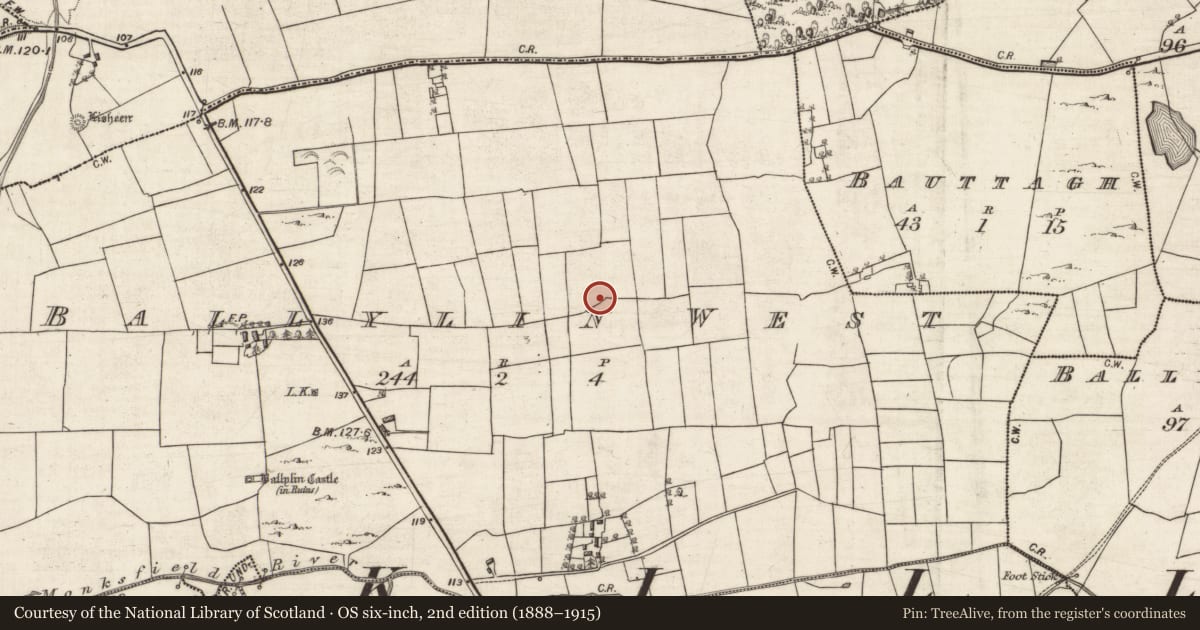 Ordnance Survey six-inch map, 2nd edition (1888–1915) covering the location of House - indeterminate date, Ballylin West, County Galway, with a pin at the register's coordinates