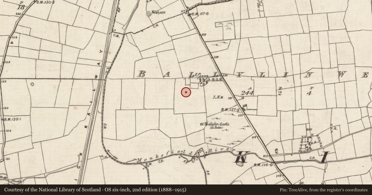 Ordnance Survey six-inch map, 2nd edition (1888–1915) covering the location of Ringfort - cashel, Ballylin West, County Galway, with a pin at the register's coordinates