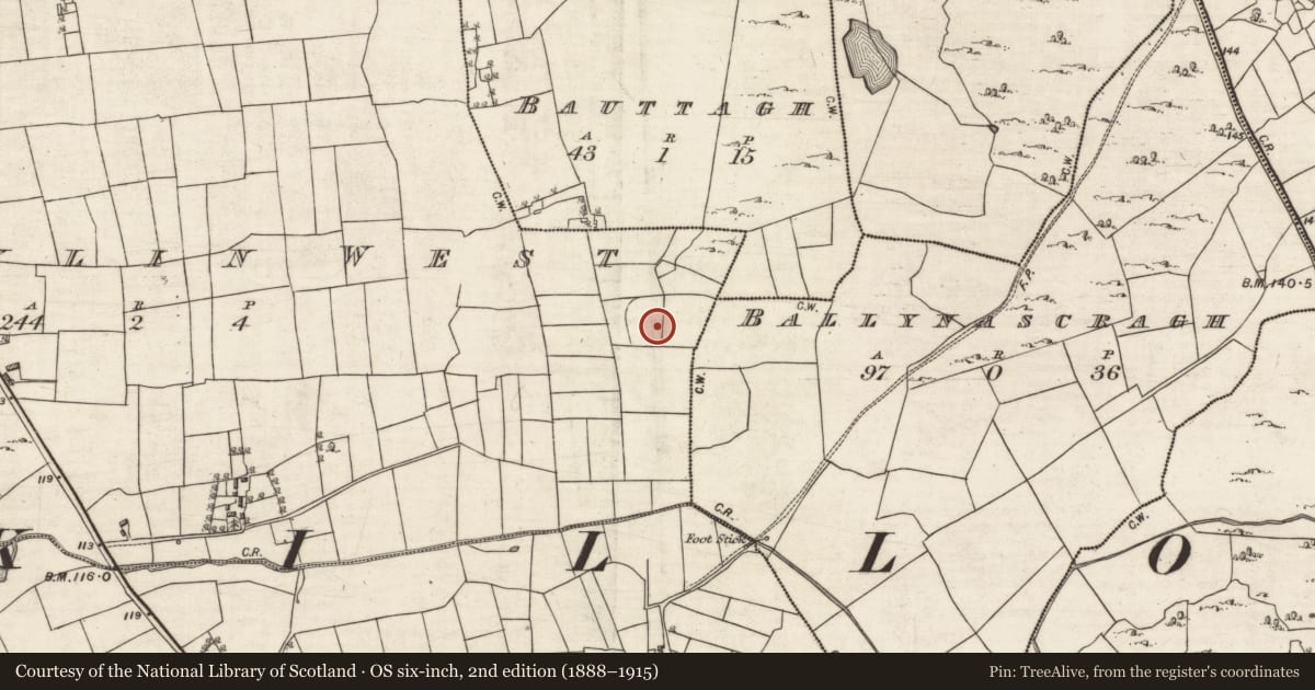 Ordnance Survey six-inch map, 2nd edition (1888–1915) covering the location of Souterrain, Ballylin West, County Galway, with a pin at the register's coordinates