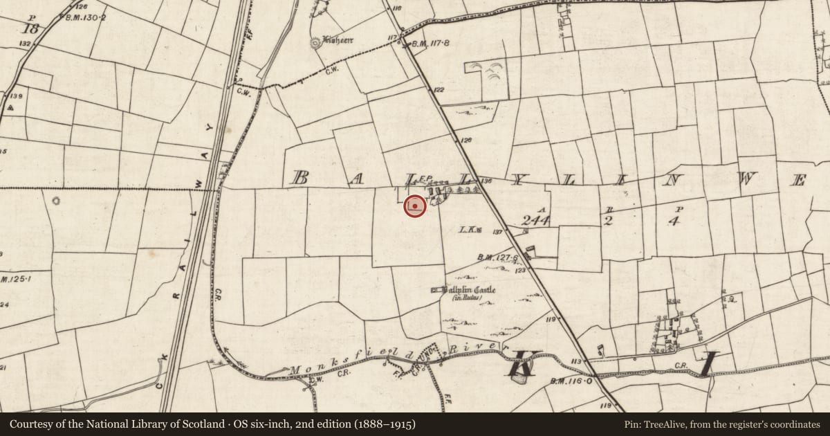 Ordnance Survey six-inch map, 2nd edition (1888–1915) covering the location of Souterrain, Ballylin West, County Galway, with a pin at the register's coordinates