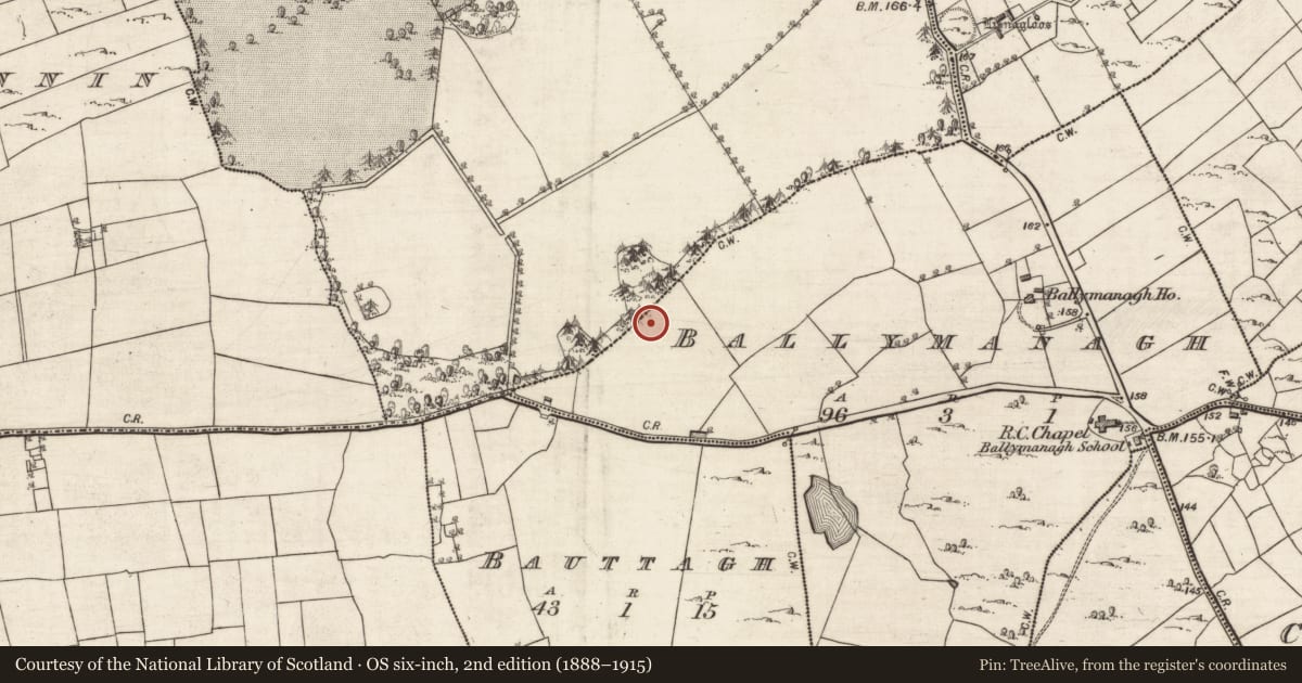 Ordnance Survey six-inch map, 2nd edition (1888–1915) covering the location of Megalithic tomb - unclassified, Ballymanagh, County Galway, with a pin at the register's coordinates