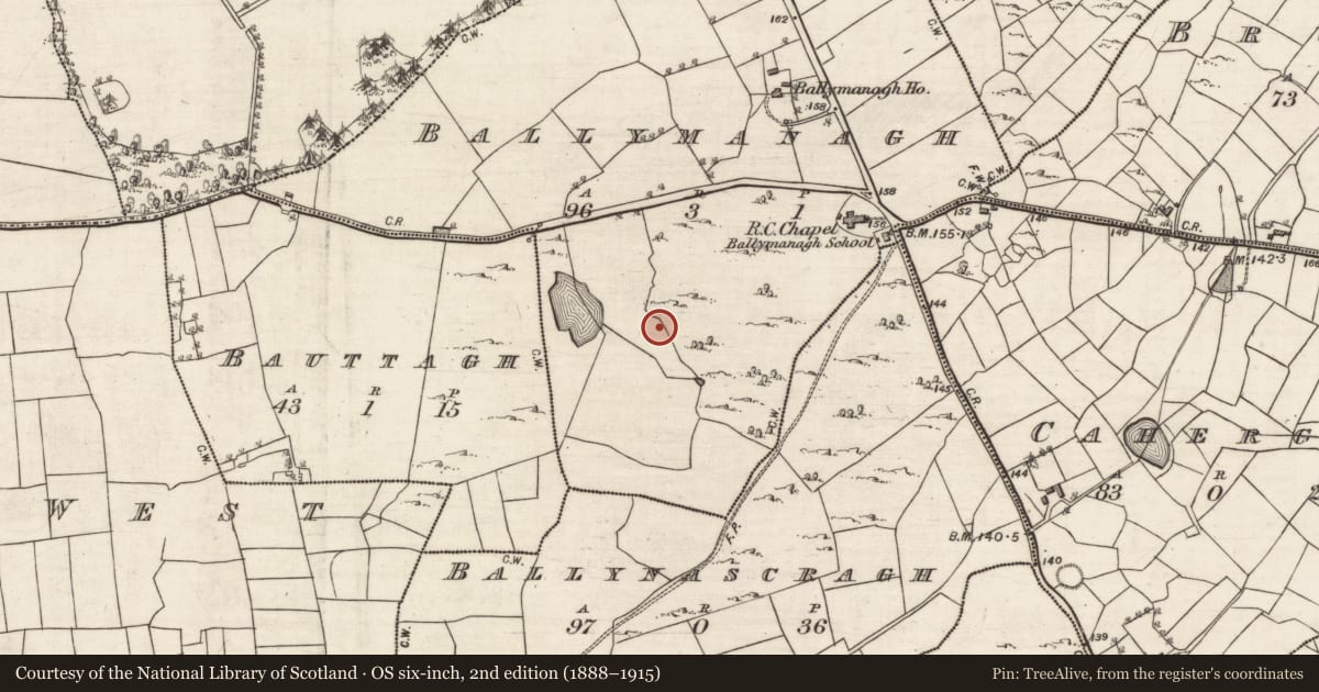 Ordnance Survey six-inch map, 2nd edition (1888–1915) covering the location of Barrow - ring-barrow, Ballymanagh, County Galway, with a pin at the register's coordinates