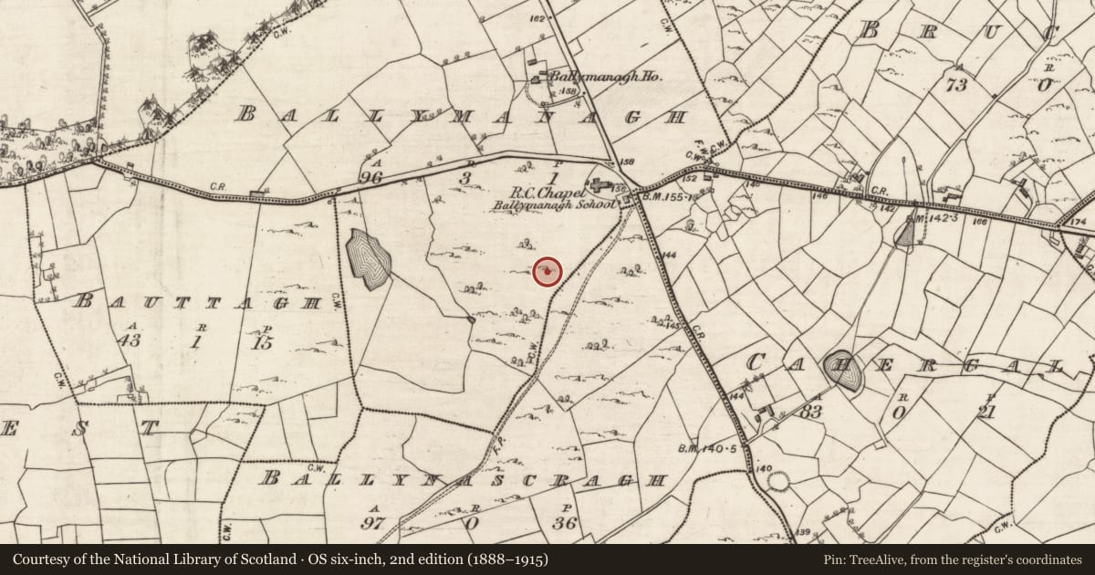 Ordnance Survey six-inch map, 2nd edition (1888–1915) covering the location of Ringfort - cashel, Ballymanagh, County Galway, with a pin at the register's coordinates