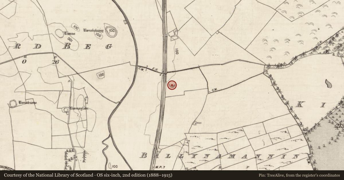 Ordnance Survey six-inch map, 2nd edition (1888–1915) covering the location of Ringfort - rath, Ballynamannin, County Galway, with a pin at the register's coordinates