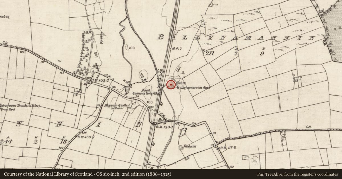 Ordnance Survey six-inch map, 2nd edition (1888–1915) covering the location of Ringfort - rath, Ballynamannin, County Galway, with a pin at the register's coordinates