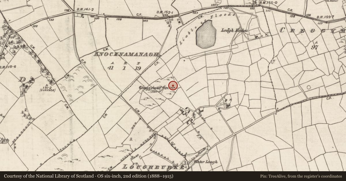 Ordnance Survey six-inch map, 2nd edition (1888–1915) covering the location of Ringfort - cashel, Ballyshea, County Galway, with a pin at the register's coordinates