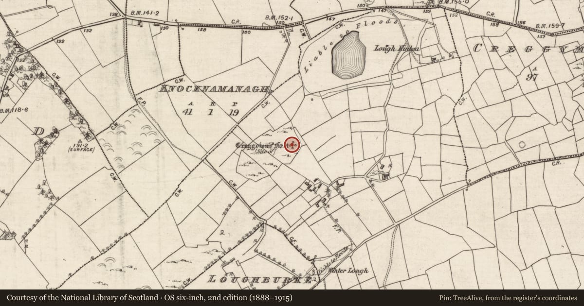 Ordnance Survey six-inch map, 2nd edition (1888–1915) covering the location of Souterrain, Ballyshea, County Galway, with a pin at the register's coordinates
