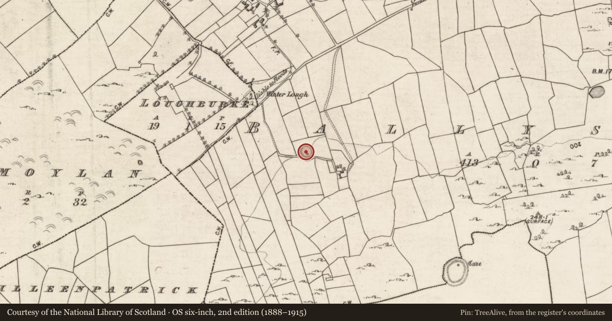 Ordnance Survey six-inch map, 2nd edition (1888–1915) covering the location of Souterrain, Ballyshea, County Galway, with a pin at the register's coordinates