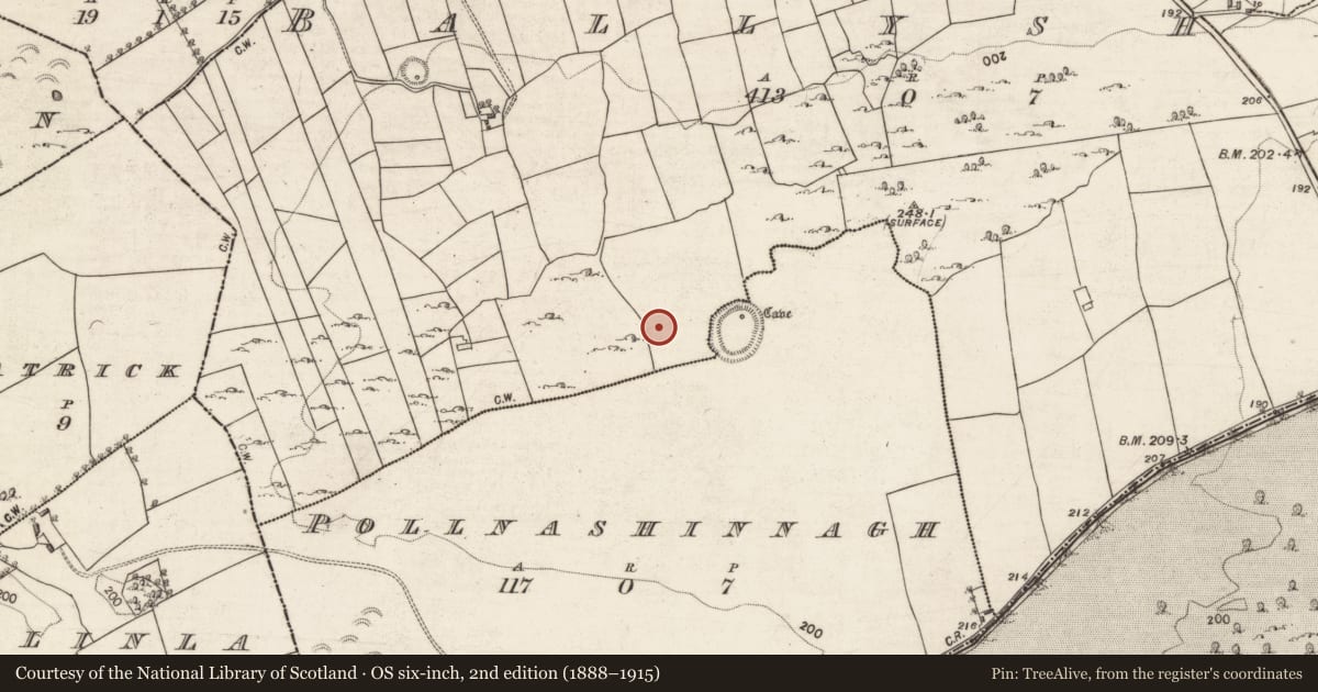 Ordnance Survey six-inch map, 2nd edition (1888–1915) covering the location of Barrow - mound barrow, Ballyshea, County Galway, with a pin at the register's coordinates