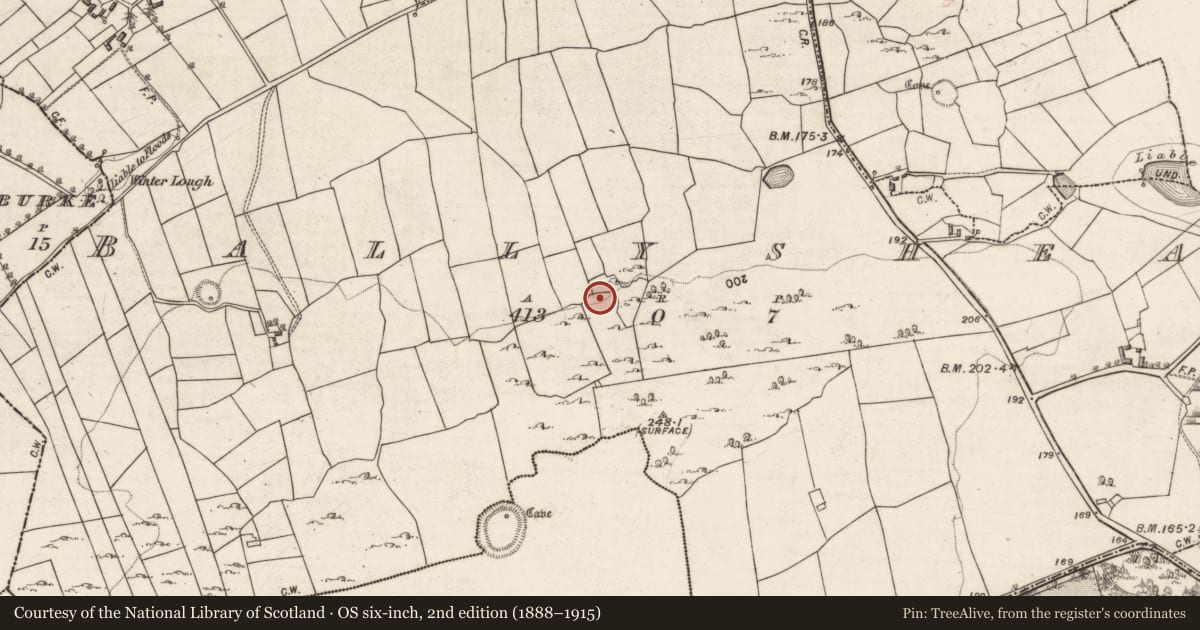 Ordnance Survey six-inch map, 2nd edition (1888–1915) covering the location of Souterrain, Ballyshea, County Galway, with a pin at the register's coordinates