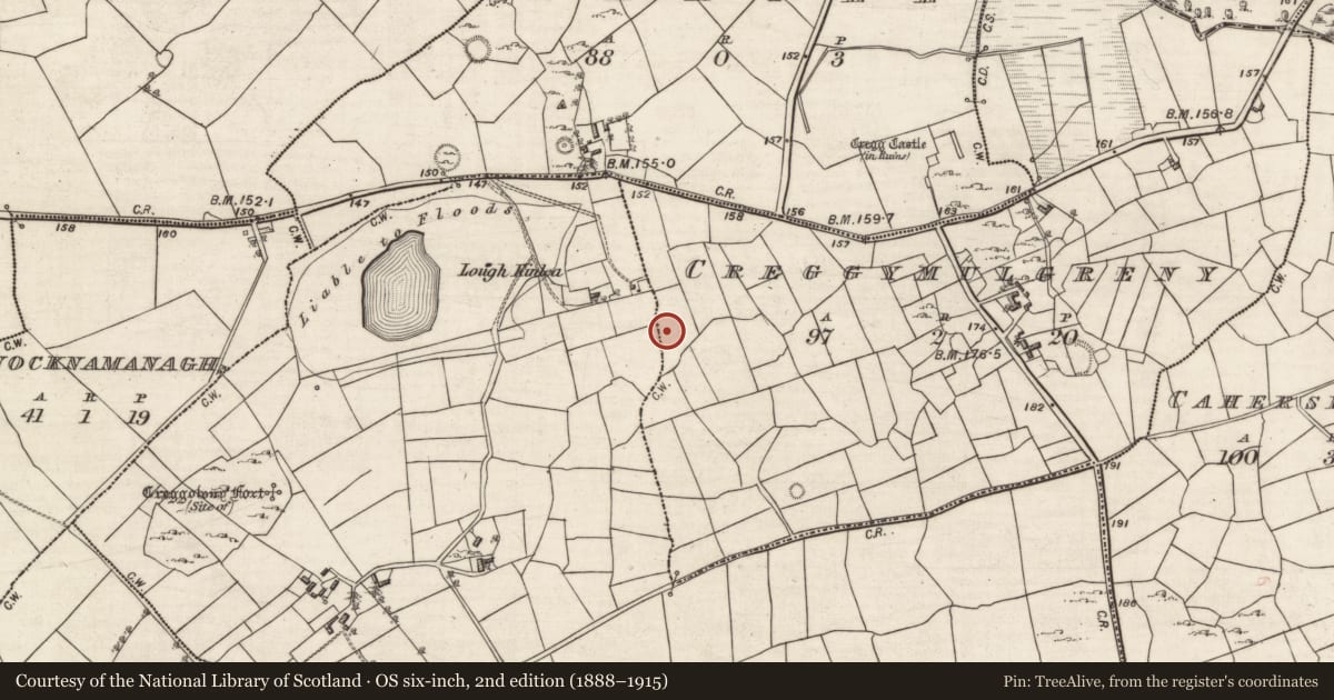 Ordnance Survey six-inch map, 2nd edition (1888–1915) covering the location of Ringfort - cashel, Creggymulgreny, Ballyshea, County Galway, with a pin at the register's coordinates