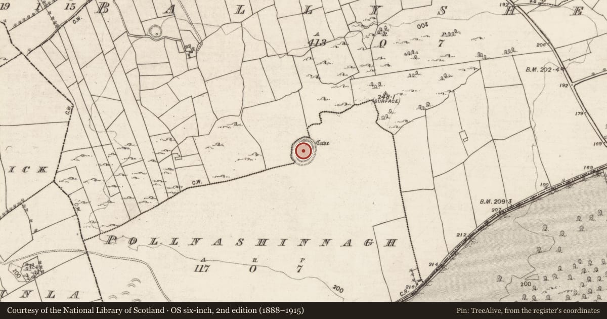 Ordnance Survey six-inch map, 2nd edition (1888–1915) covering the location of Souterrain, Ballyshea, Pollnashinnagh, County Galway, with a pin at the register's coordinates