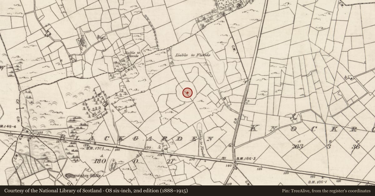 Ordnance Survey six-inch map, 2nd edition (1888–1915) covering the location of Enclosure - large enclosure, Blackgarden, County Galway, with a pin at the register's coordinates