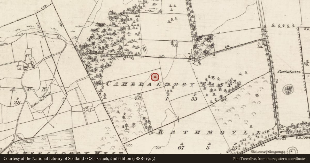 Ordnance Survey six-inch map, 2nd edition (1888–1915) covering the location of Ringfort - cashel, Caheraloggy East, County Galway, with a pin at the register's coordinates
