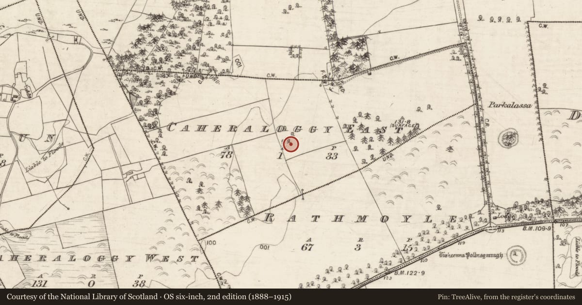 Ordnance Survey six-inch map, 2nd edition (1888–1915) covering the location of Designed landscape feature, Caheraloggy East, County Galway, with a pin at the register's coordinates